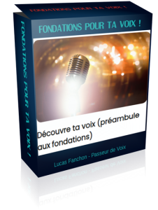 Le meilleur pack pour ta voix "fondations de la voix" pour chanter plus juste et aimer ta voix 9
