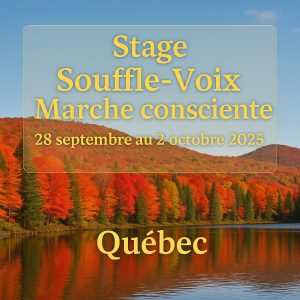 Stages voix et artiste 1